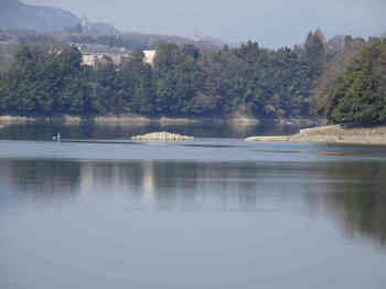津久井湖中島.JPG